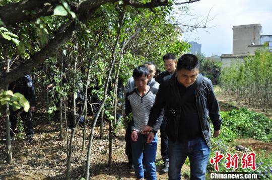 十大足球赌注软件排行榜