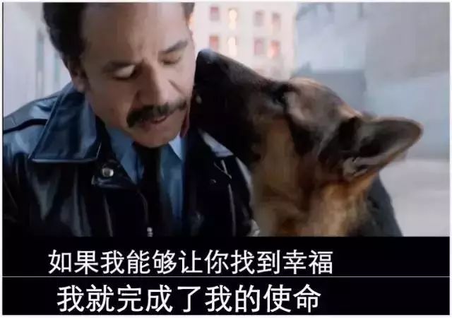 食物语手游佛跳墙详解‘十大足球赌注软件’(图3) 十大足球赌注软件排行榜