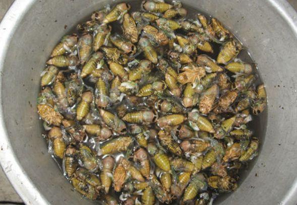 阳光城:为3家公司共计12.45亿元融资提供担保“十大足球赌注软件”(图1) 十大足球赌注软件