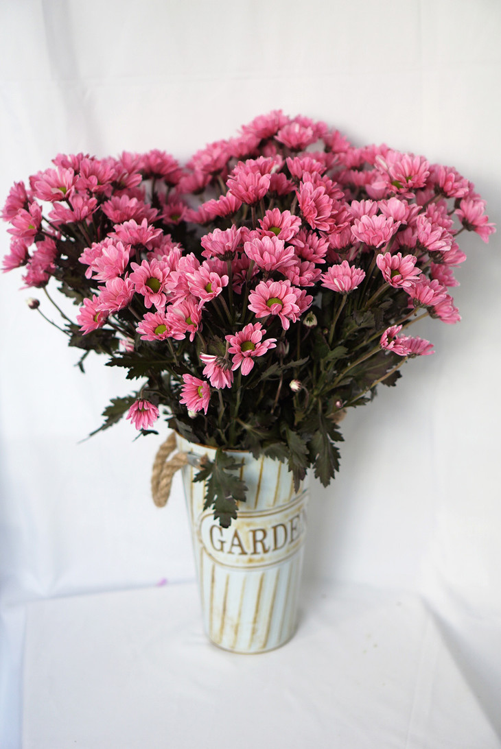 不思议迷宫7.4正式服&渠道服更新维护公告|十大足球赌注软件排行榜(图3) 足球赌注软件APP