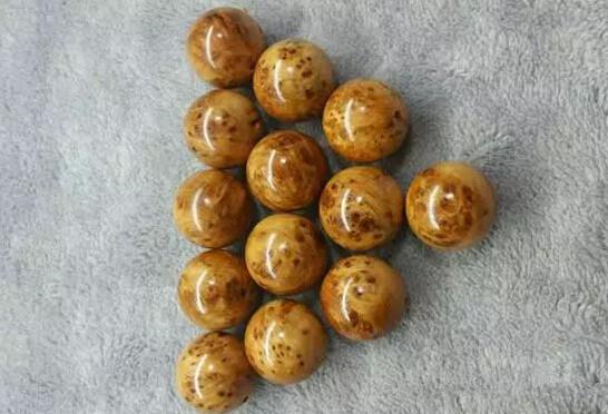 足球赌注软件APP