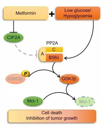 十大足球赌注软件排行榜