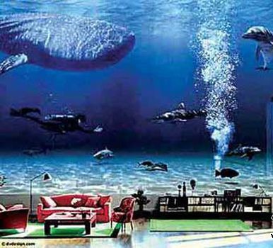 十大足球赌注软件排行榜