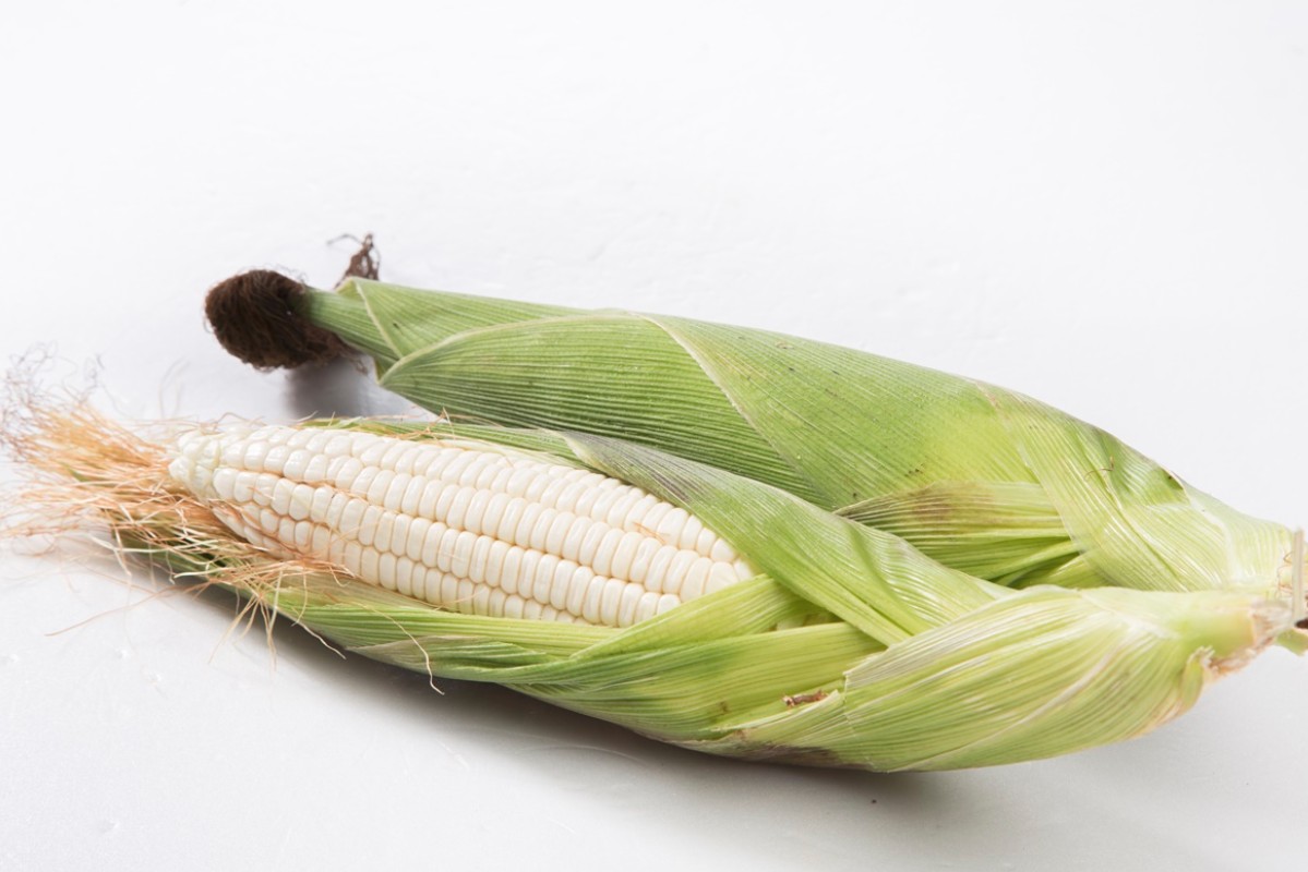 足球赌注软件APP