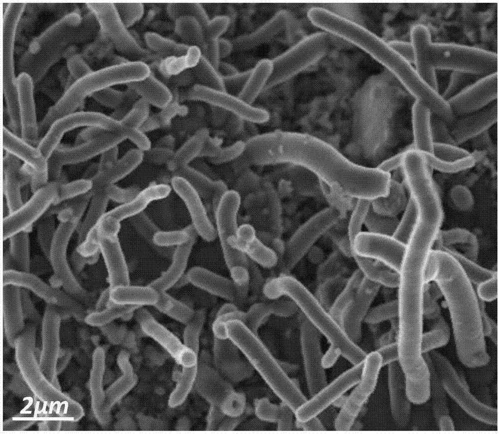 十大足球赌注软件