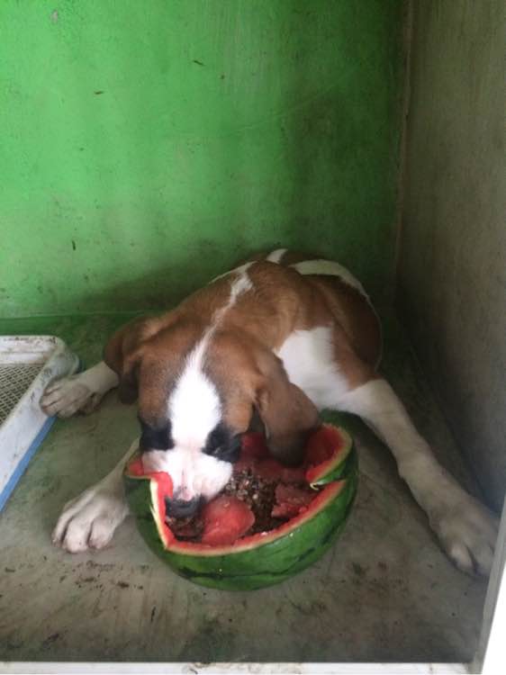 “足球赌注软件”战歌竞技场版本解读 新赛季更新内容,全方位倾情奉献(图4) 十大足球赌注软件排行榜