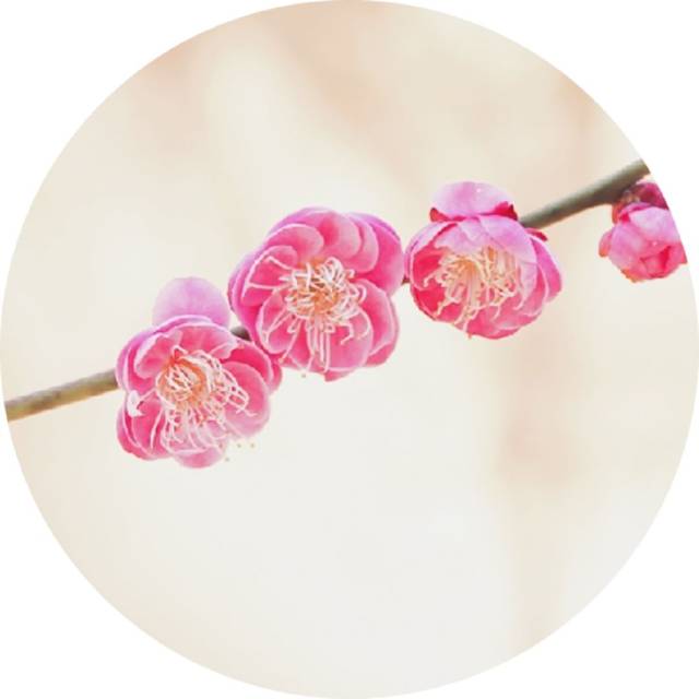 十大足球赌注软件