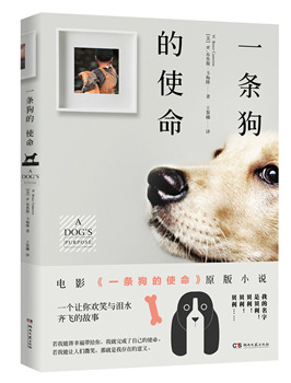 十大足球赌注软件排行榜