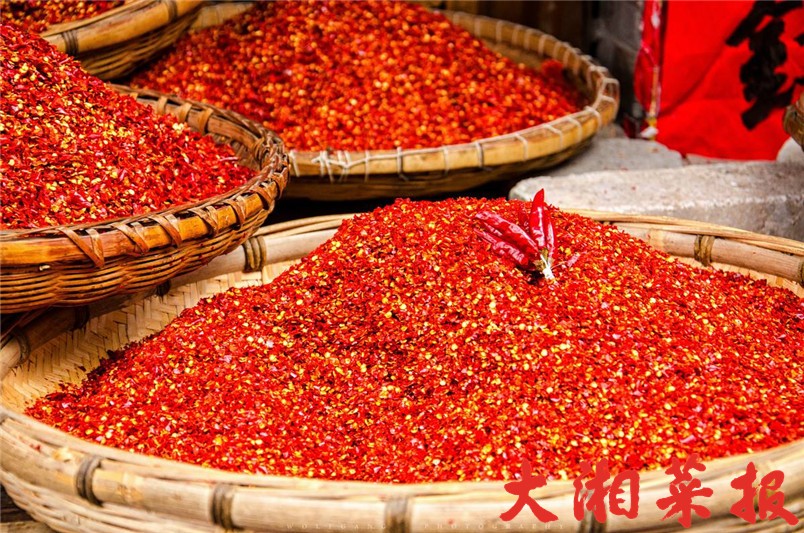 足球赌注软件APP