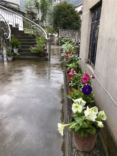 足球赌注软件APP