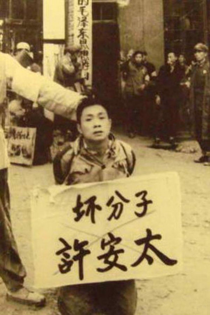 足球赌注软件APP